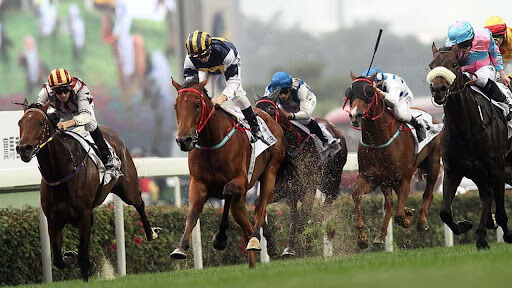 How-to-find-the-best-horse-racing-betting-sites-02